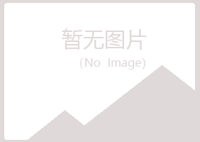 青岛市南紫山电讯有限公司